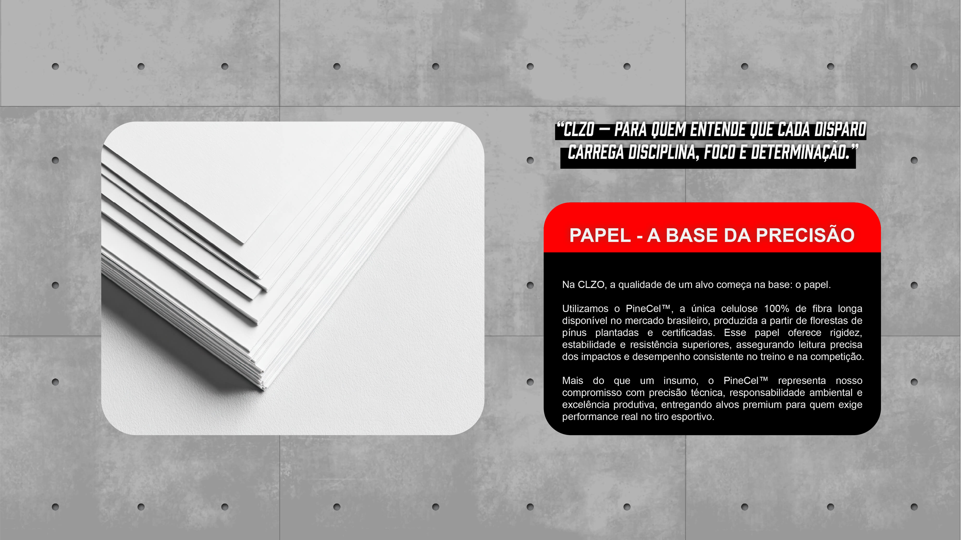 Imagem sobre a Alvos Coalizão